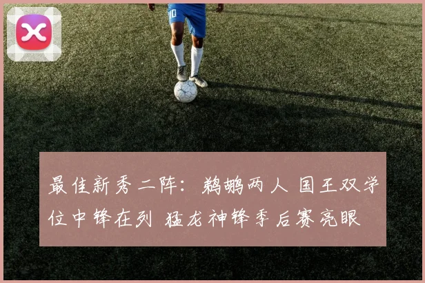 最佳新秀二阵：鹈鹕两人 国王双学位中锋在列 猛龙神锋季后赛亮眼